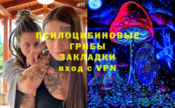 сатива Наволоки