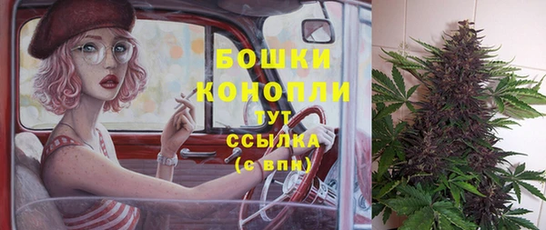 сатива Наволоки