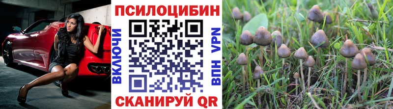 Купить  Лысьва  Псилоцибиновые грибы мухоморы 